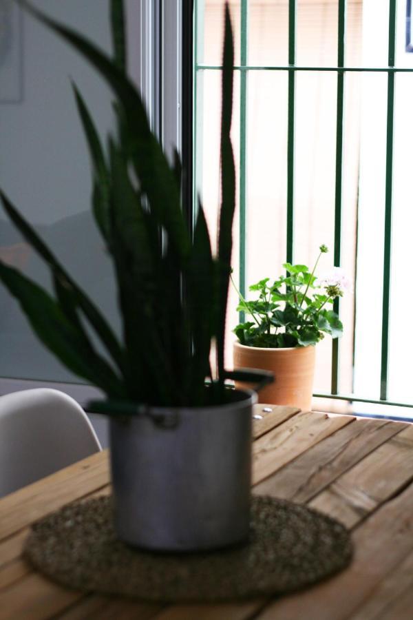 Apartamento Ideal Estancias Largas Y Teletrabajo Apartment